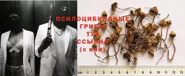 хмурый Сафоново