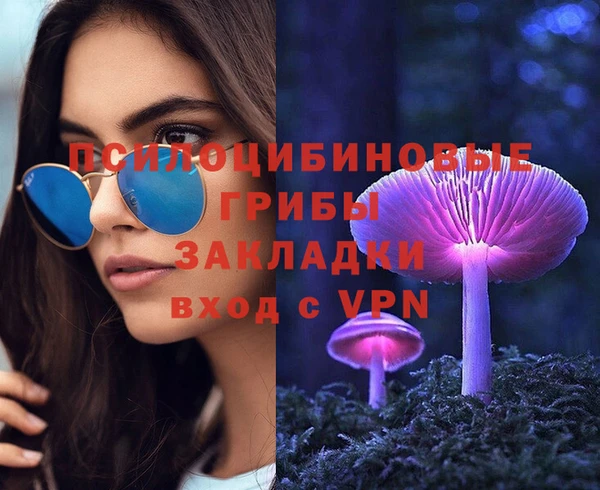 не бодяженный Аркадак