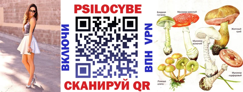гидра маркетплейс  как найти закладки  Сорск  Псилоцибиновые грибы MAGIC MUSHROOMS 
